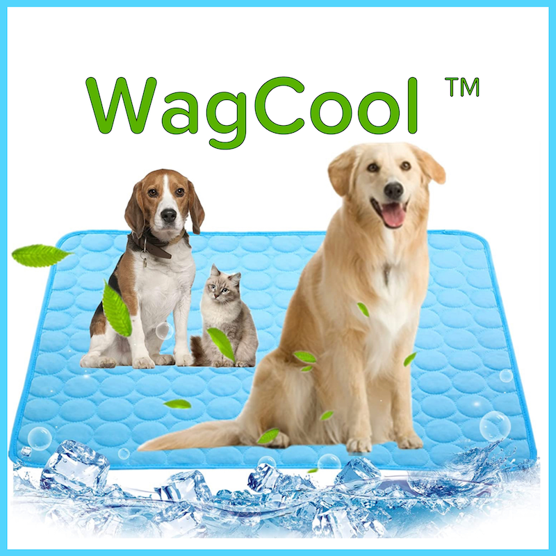 WagCool™ - Mata chłodząca dla psa (Oryginalna)