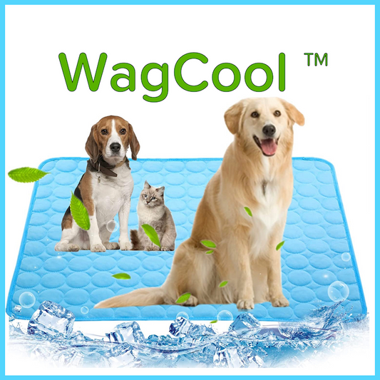 WagCool™ - Mata chłodząca dla psa (Oryginalna)